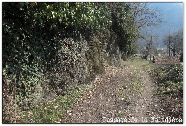 Cliquez pour agrandir l'image